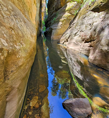 Reflective pool in James Canyon