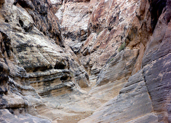 Thin layered Cedar Mesa sandstone in Music Canyon