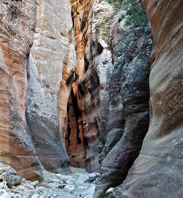 One of the narrowest sections of Orderville Canyon