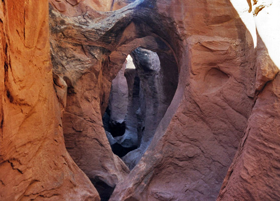 Arches in the lower end of the slot canyon