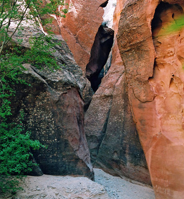 Start of the narrows in Red Hollow