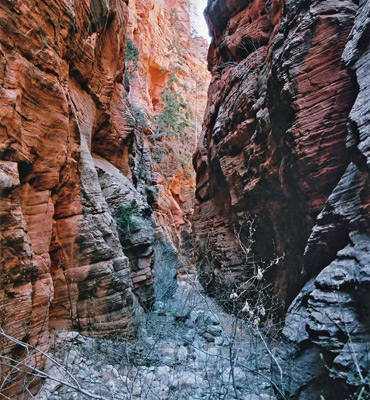 The narrowing canyon of Spring Creek