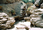 Booker Canyon