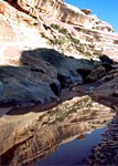 Photograph of Cheesebox Canyon