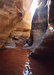 Photograph of Cheesebox Canyon