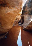 Photograph of Cheesebox Canyon