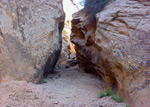 Cottonwood Wash