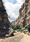 Cottonwood Wash Narrows