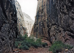 Grand Wash
