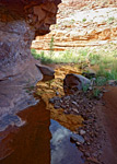 photograph