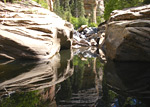 photograph