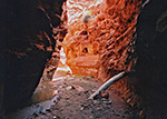 Starlight Canyon
