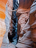 Deep into the canyon