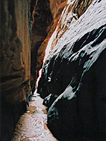 Shelf Canyon