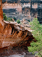 Cliffs with desert varnish