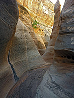 Curvy canyon walls