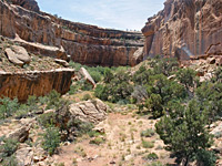 The canyon floor