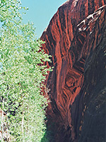 Desert varnished cliff