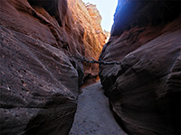 Log in the slot canyon