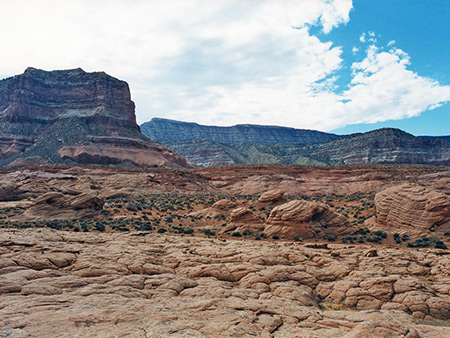 Photographs of Davis Gulch