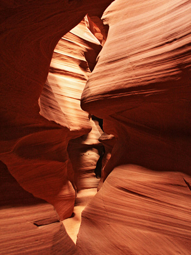 Cross-bedded Navajo sandstone