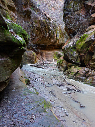 Beartrap Canyon