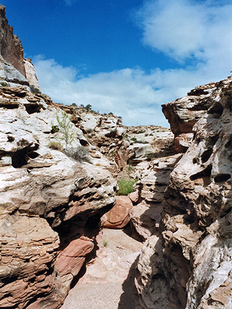 Photographs of Bell Canyon