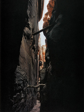 Logs in the slot