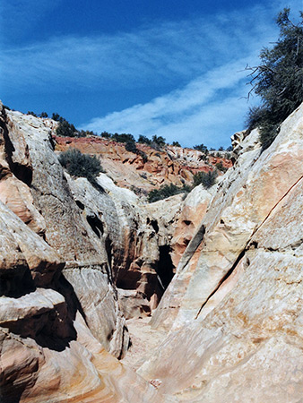 Photographs of Big Horn Canyon