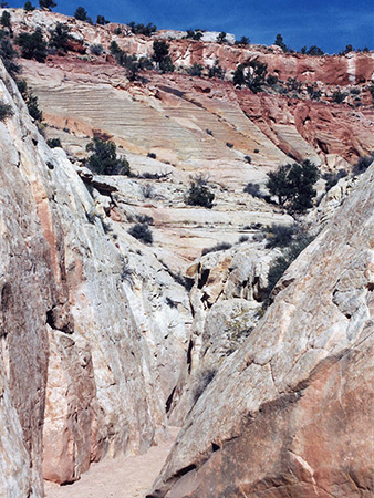 Photographs of Big Horn Canyon
