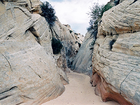 Photographs of Booker Canyon