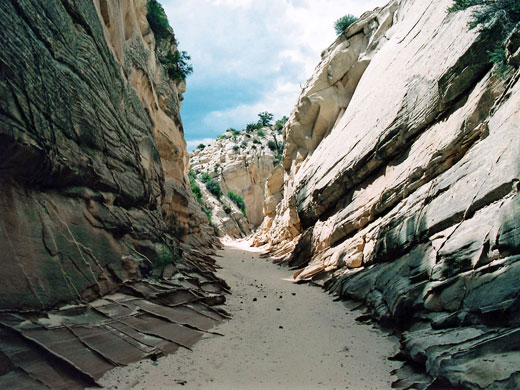 Below the Booker Canyon narrows