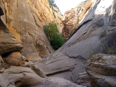 The lower canyon