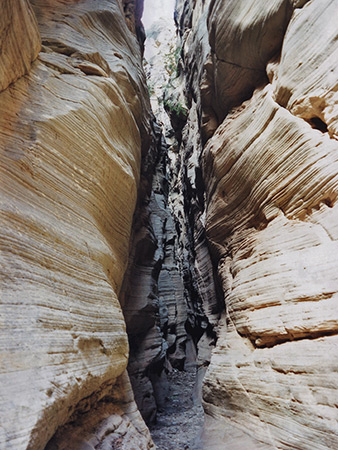 Photographs of Bull Valley Gorge