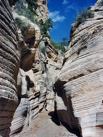 Photographs of Bull Valley Gorge