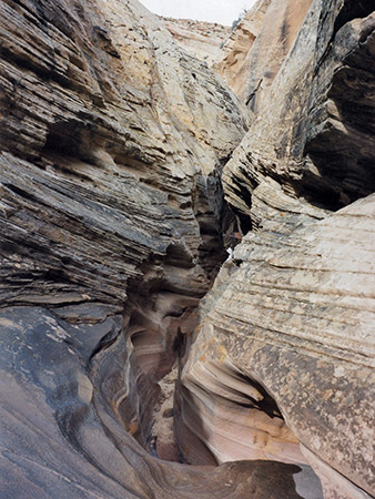 Photographs of Burro Wash