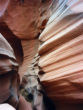 Photographs of Butterfly Canyon