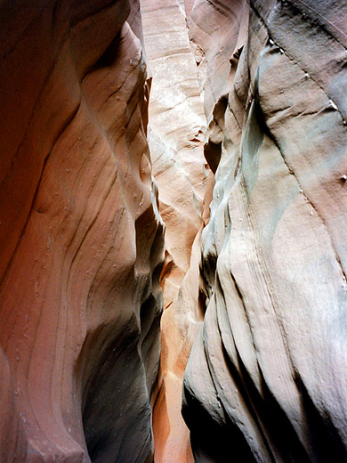Thin passage in Butterfly Canyon