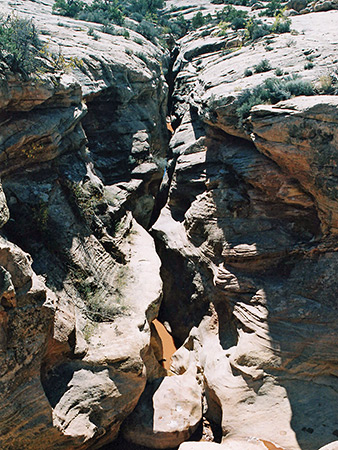 Photographs of Cheesebox Canyon
