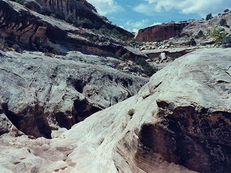 Photographs of Cheesebox Canyon