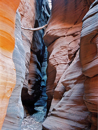 Photographs of Upper Chute Canyon