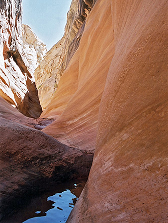Photographs of Cistern and Ramp Canyons