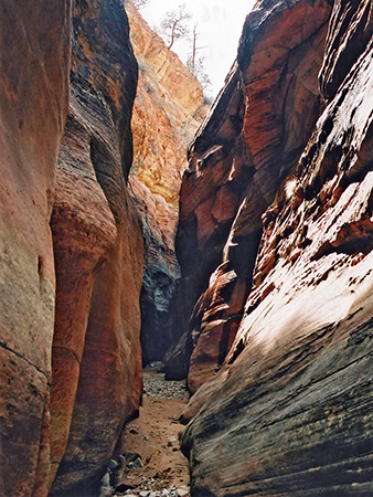 Photographs of Clear Creek