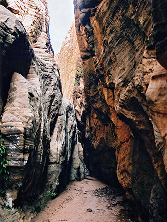 Photographs of Clear Creek