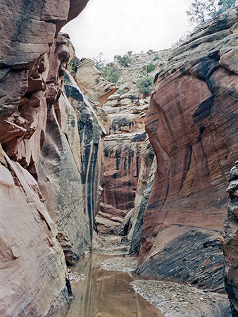 Photographs of Cottonwood Wash