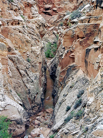Photographs of Cottonwood Wash