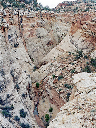 Photographs of Cottonwood Wash