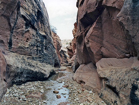 Photographs of Cottonwood Wash