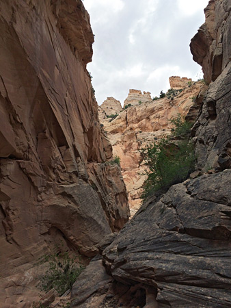 Photographs of Cottonwood Wash Narrows