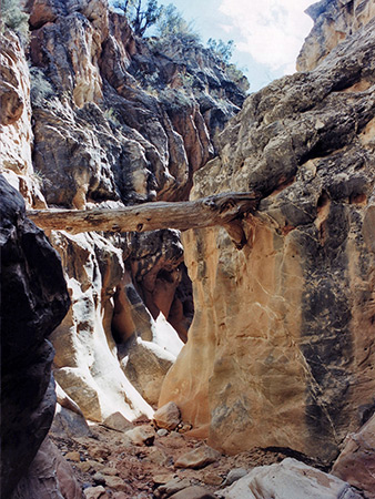 Photographs of Cottonwood Wash Narrows